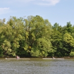 DSC_0079.jpg